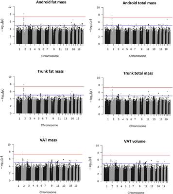 Discovery Genome-Wide Association Study of Body Composition in 4,386 Adults From the UK Biobank’s Pilot Imaging Enhancement Study